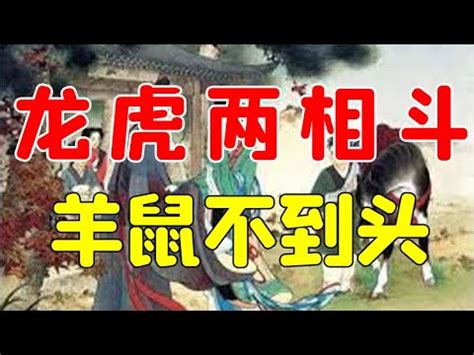 鼠羊相害化解